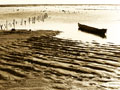 Island Boat
